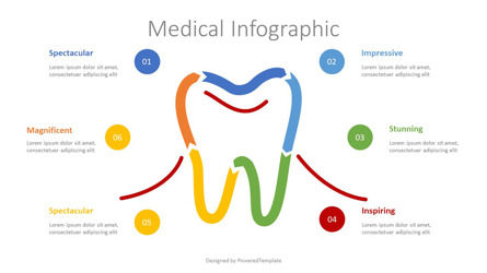 Tooth Infographic, Slide 3, 10041, Health and Recreation — PoweredTemplate.com