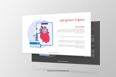 Lab Grown Organs Presentation Slide, 10088, Medisch — PoweredTemplate.com