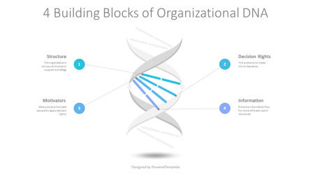 4 Building Blocks of Organizational DNA, 슬라이드 2, 10254, 비즈니스 모델 — PoweredTemplate.com