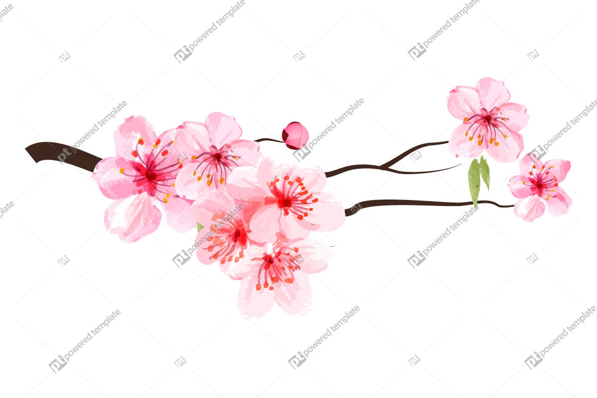 Cherry Blossom Tree Branch Flower Vector | 02978 | PoweredTemplate.com