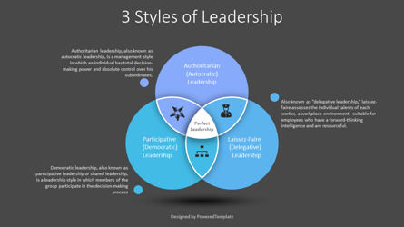 3 Styles of Leadership, Diapositive 3, 10266, Modèles commerciaux — PoweredTemplate.com