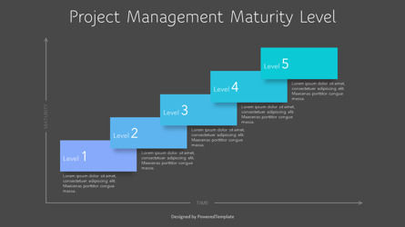 Project Management Maturity Level, Slide 3, 10834, Business Models — PoweredTemplate.com